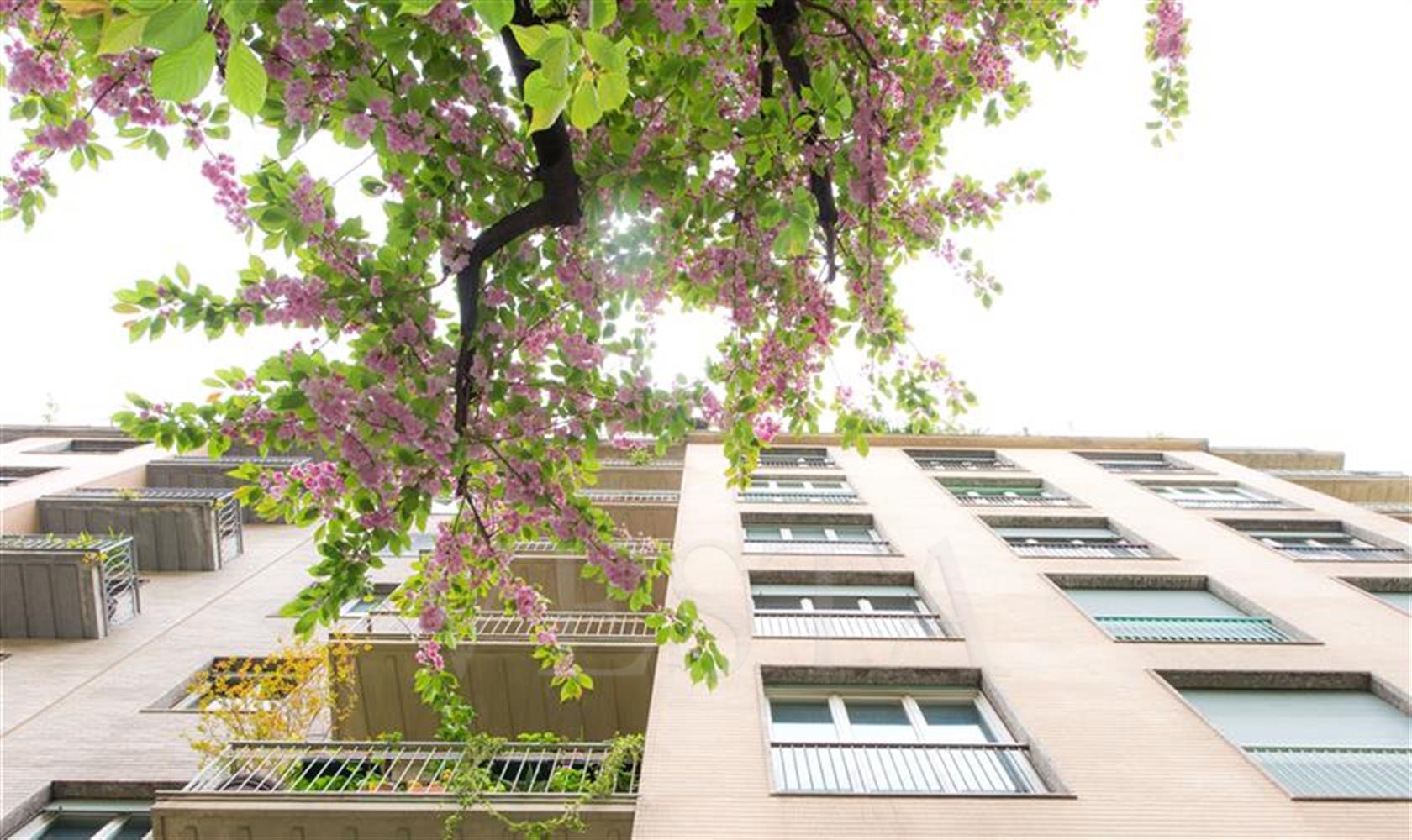 Vendita Milano Plurilocale