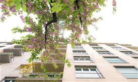 Vendita Milano Plurilocale