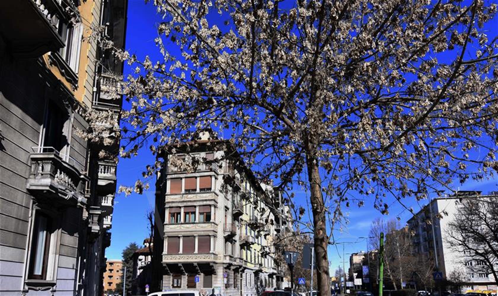 Vendita Milano Quadrilocale