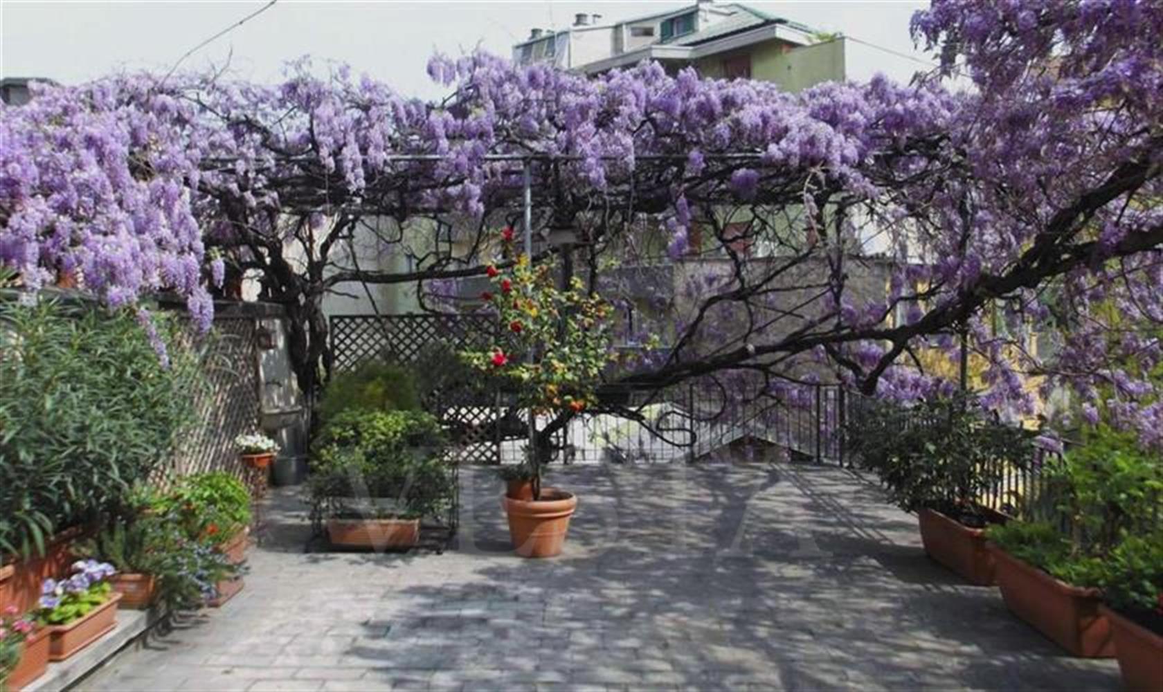 Vendita Milano Quadrilocale