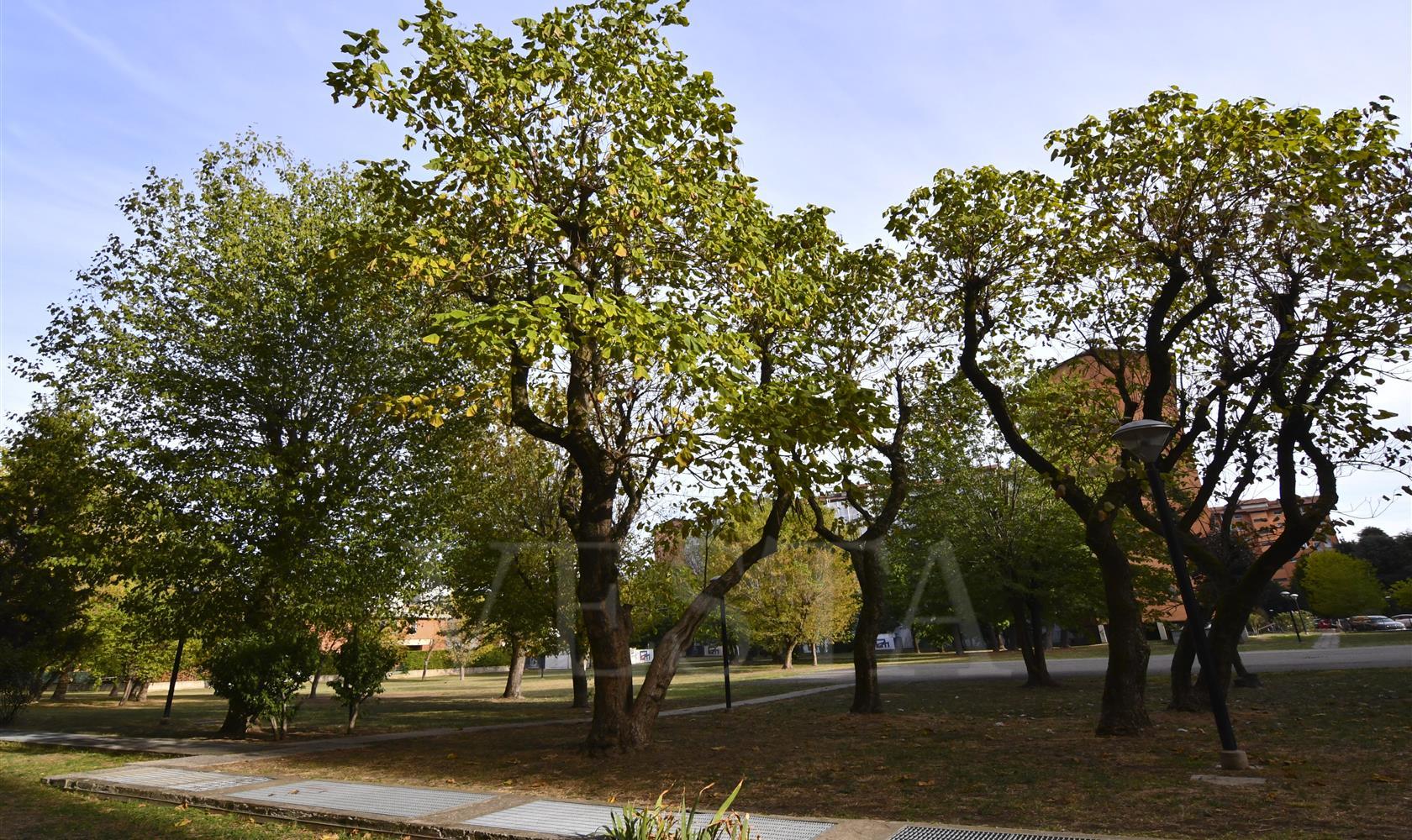 Vendita Milano Trilocale